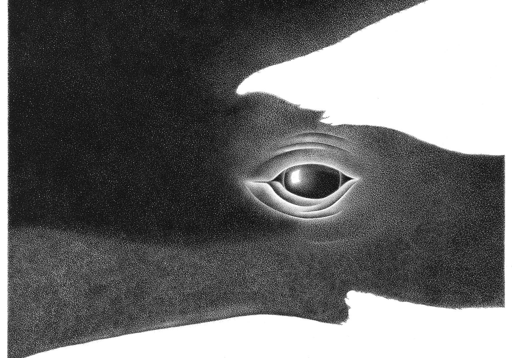 Eye on the Ocean Rio Rossellini