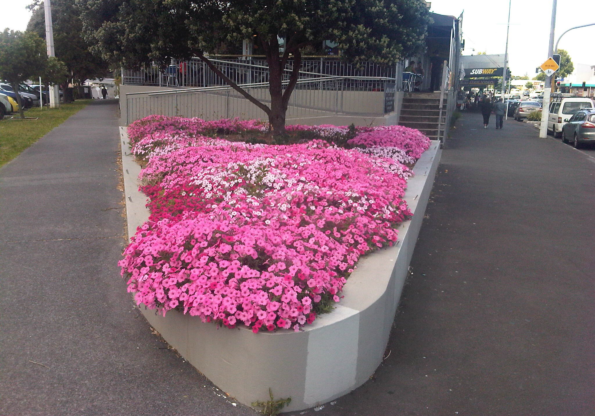 GLBA Tidy up flower bed 