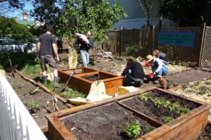 Wilton St Community Garden