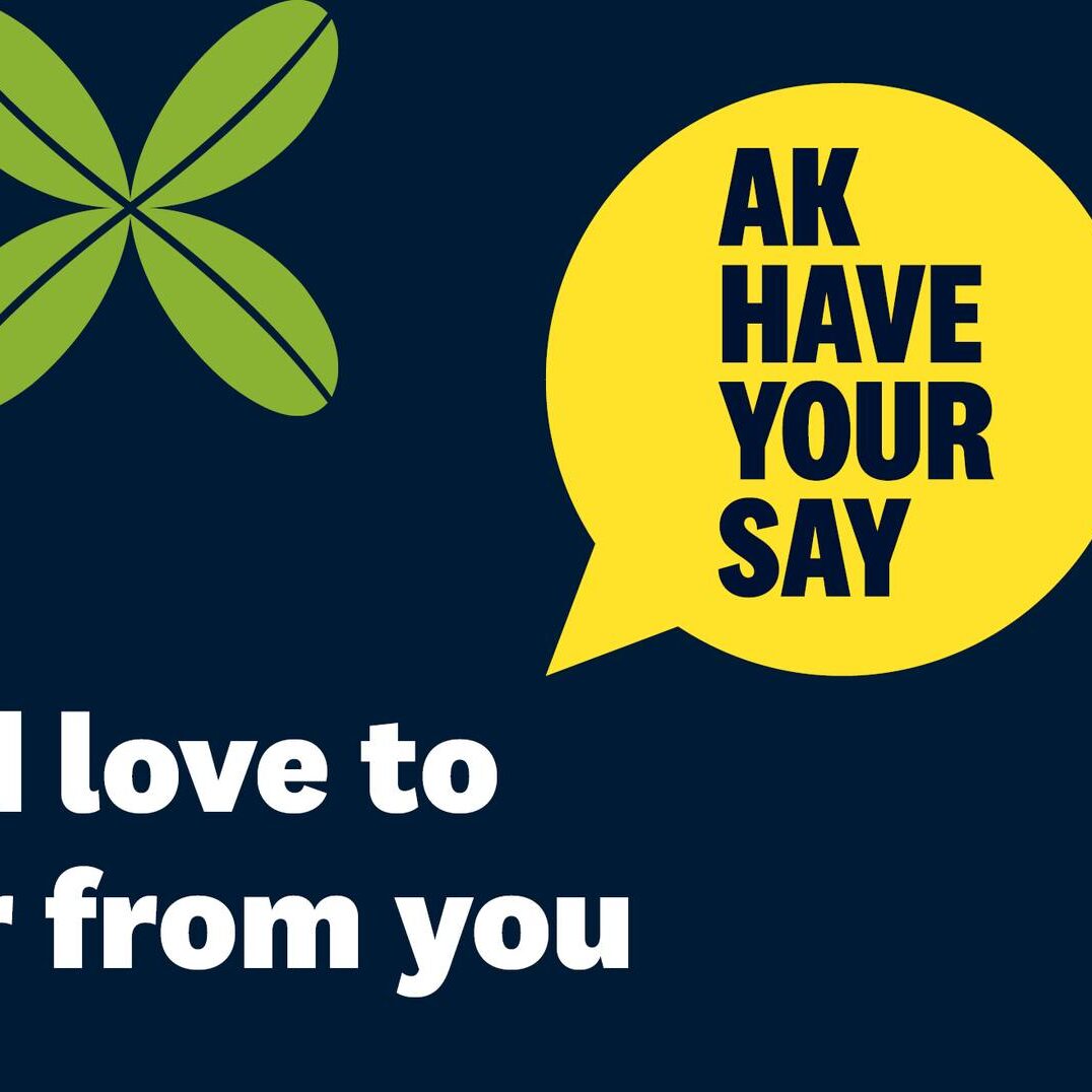 Have your Say 3