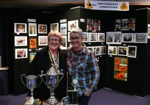Grey Lynn honey awards Grey Lynn honey awards