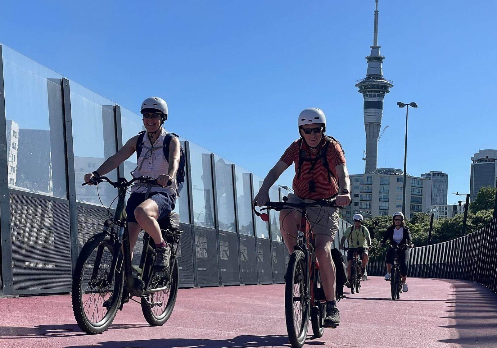 eBike Auckland eBike Auckland